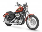 2007 Harley-Davidson Harley Davidson XL 50 50th Anniversary Sportster Limited Edition